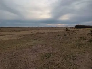 Venta de 1600 hectáreas en Praderes (Carmen de Patagones  )330 con riego foto 3