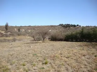 HERMOSA FRACCION DE 5300 MT2 CON FONDO AL ARROYO LAS MOJARRAS, IDEAL COMPLEJO foto 5