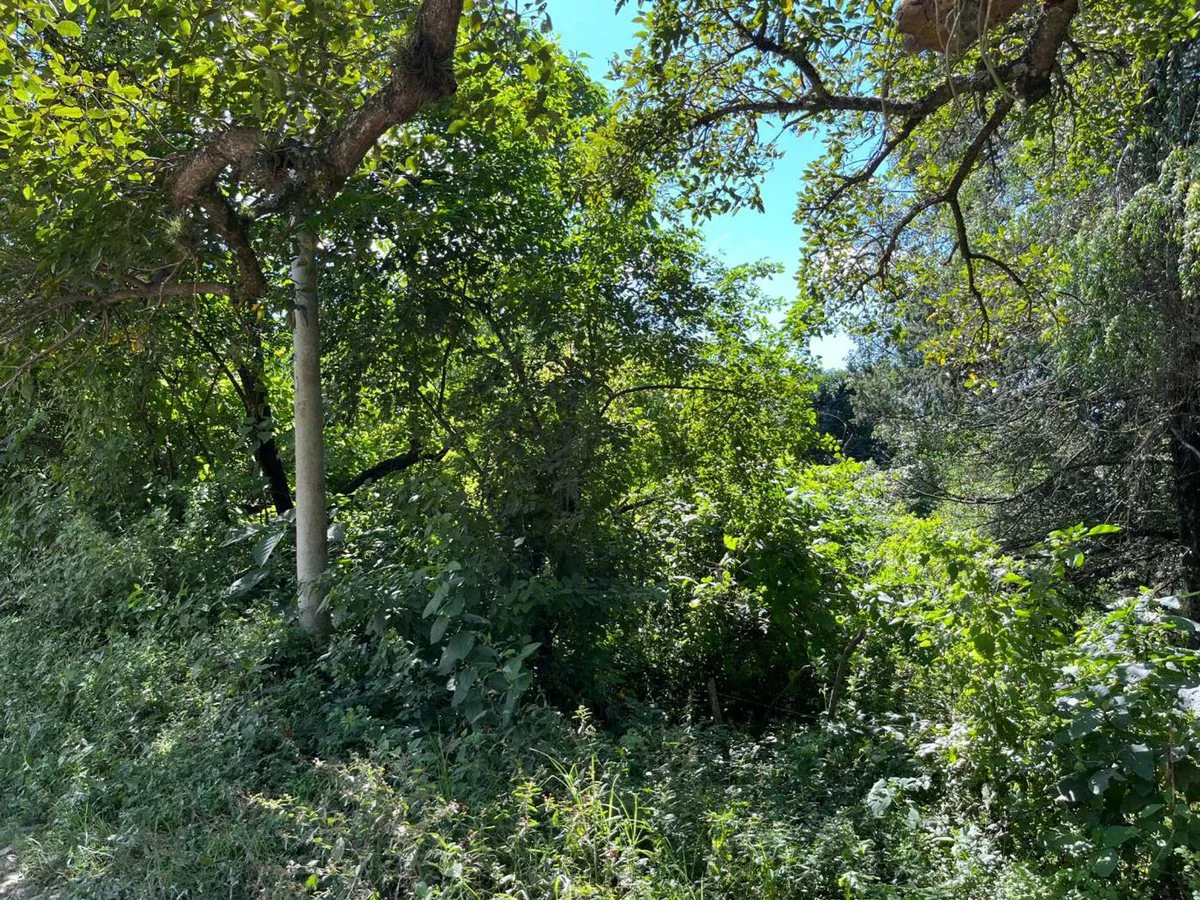 VENTA DE TERRENO de 2115M2  EN RACO foto 3