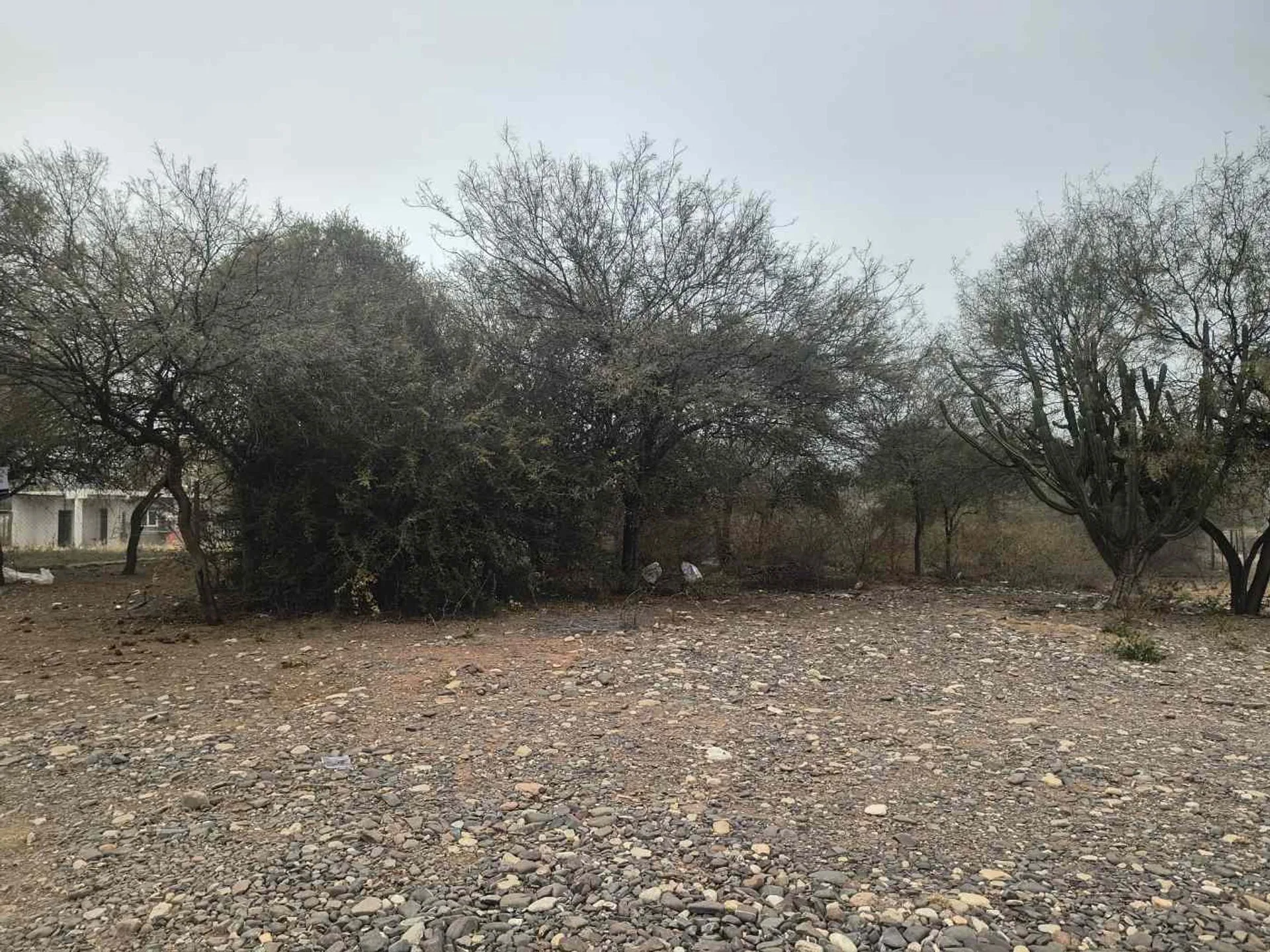 Venta Lote Finca El Retiro con salida al Dique foto 5
