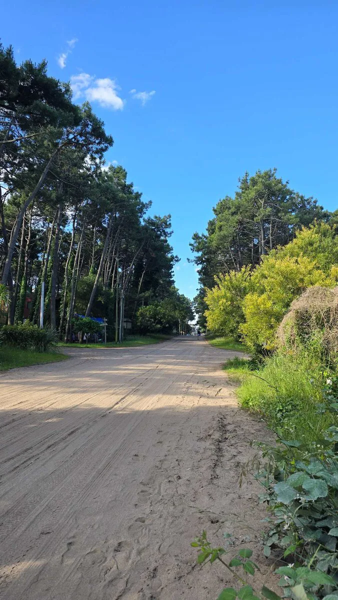 LOTE EN VENTA MAR AZUL APTO COMERCIAL ZONA CENTRO foto 3