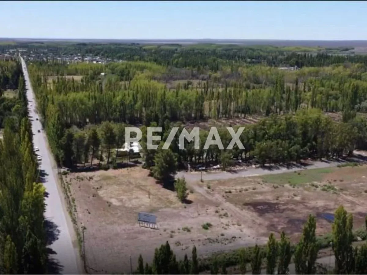 Venta Terreno en Pozo, Loteo El Pinar, Cipo foto 4