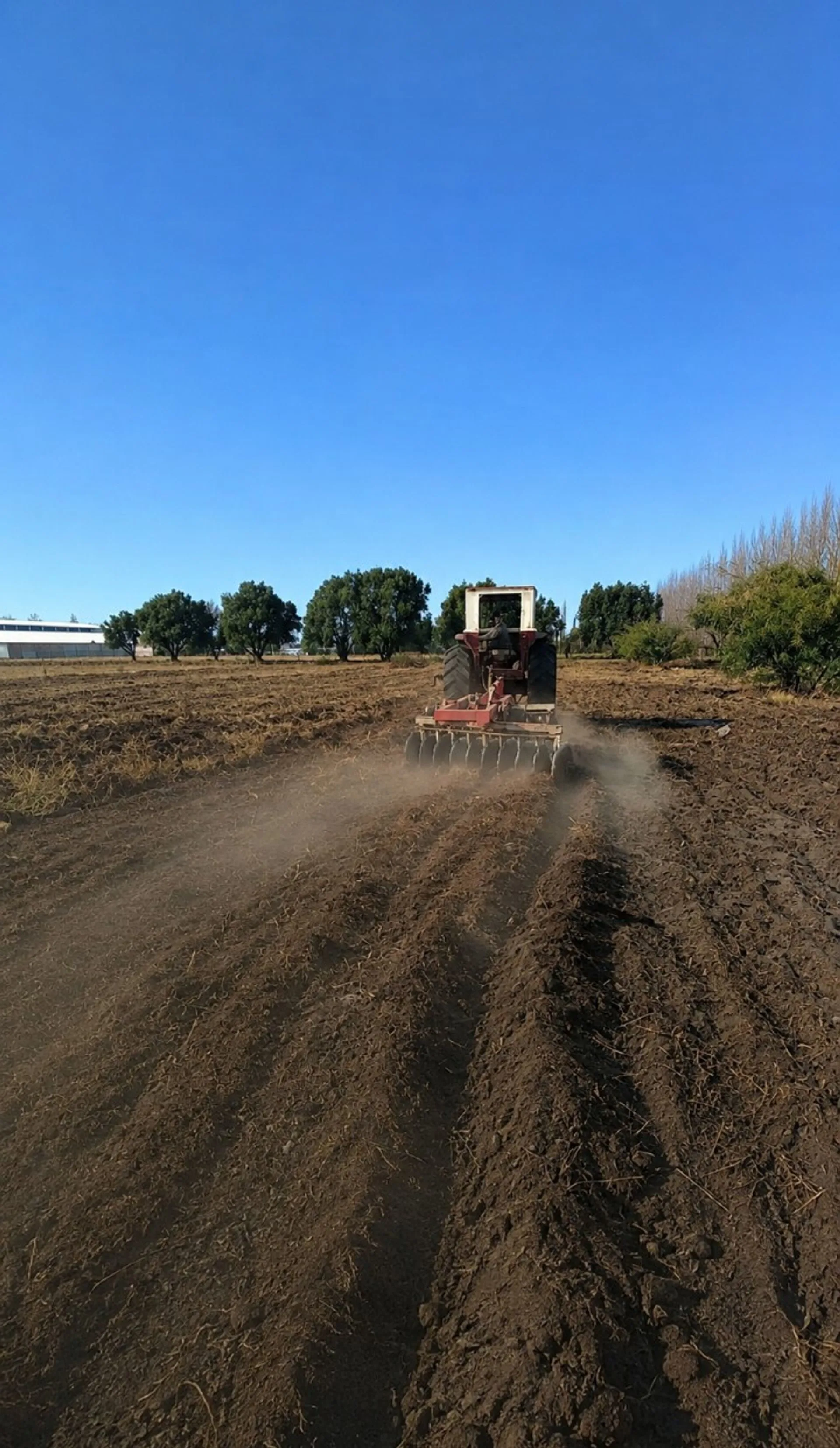 Terreno en venta Ruta 188 y Echeverria Gral Alvear foto 2