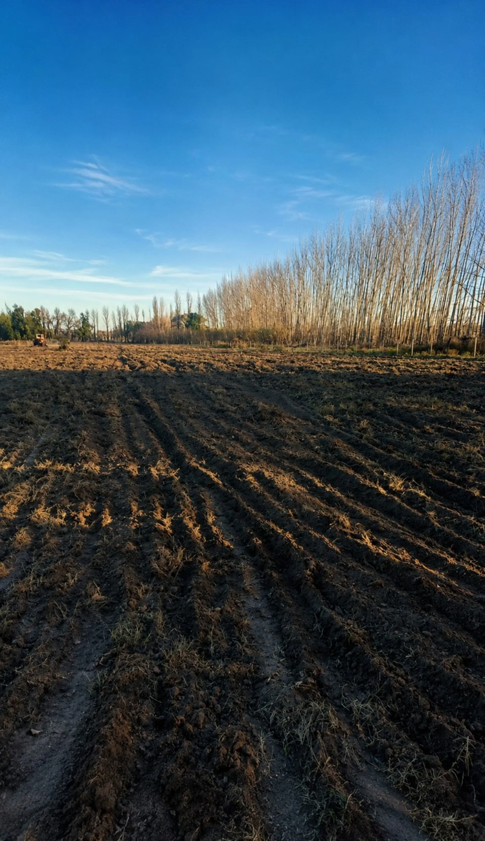Terreno en venta Ruta 188 y Echeverria Gral Alvear foto 3