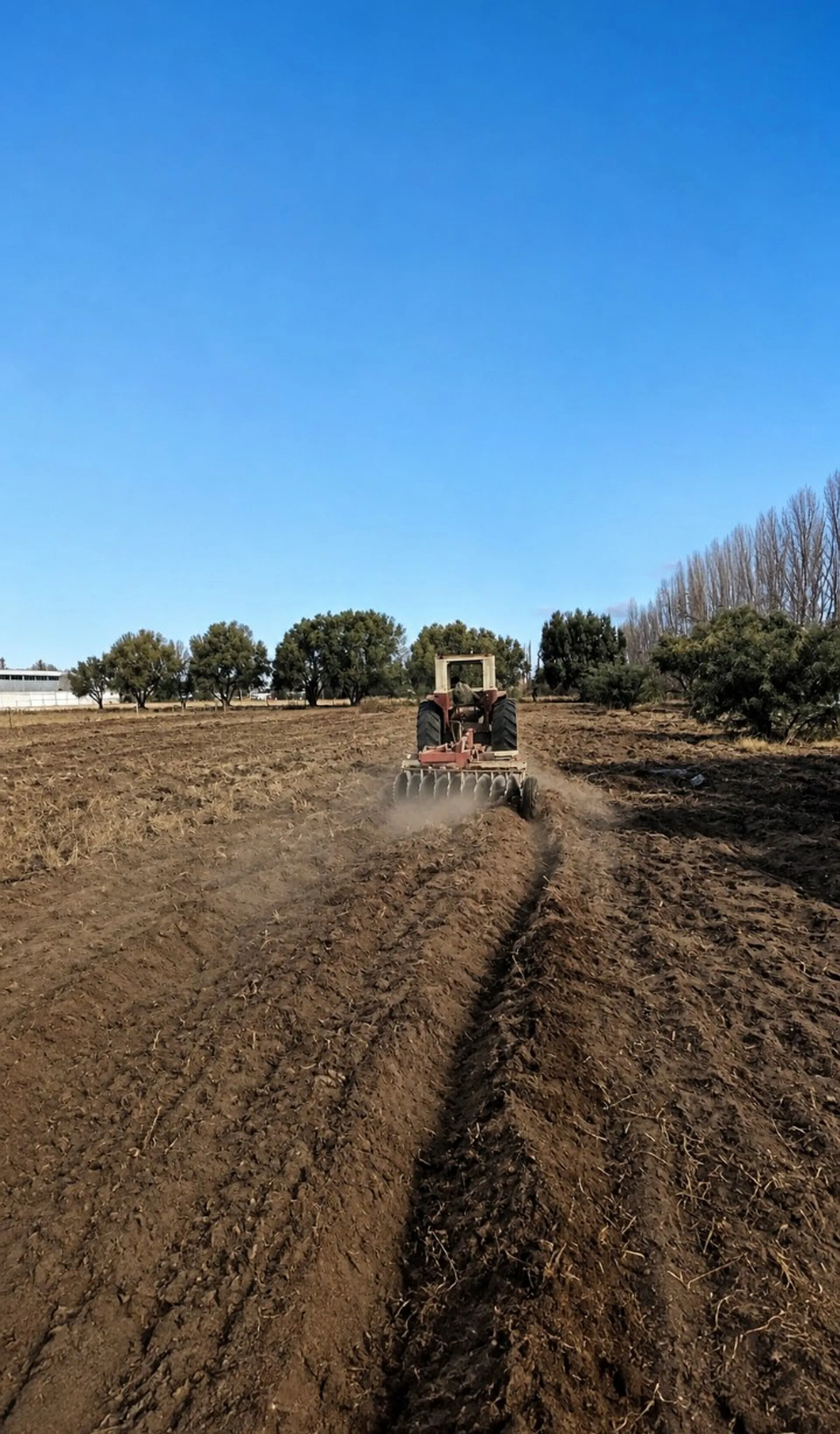 Terreno en venta Ruta 188 y Echeverria Gral Alvear foto 4