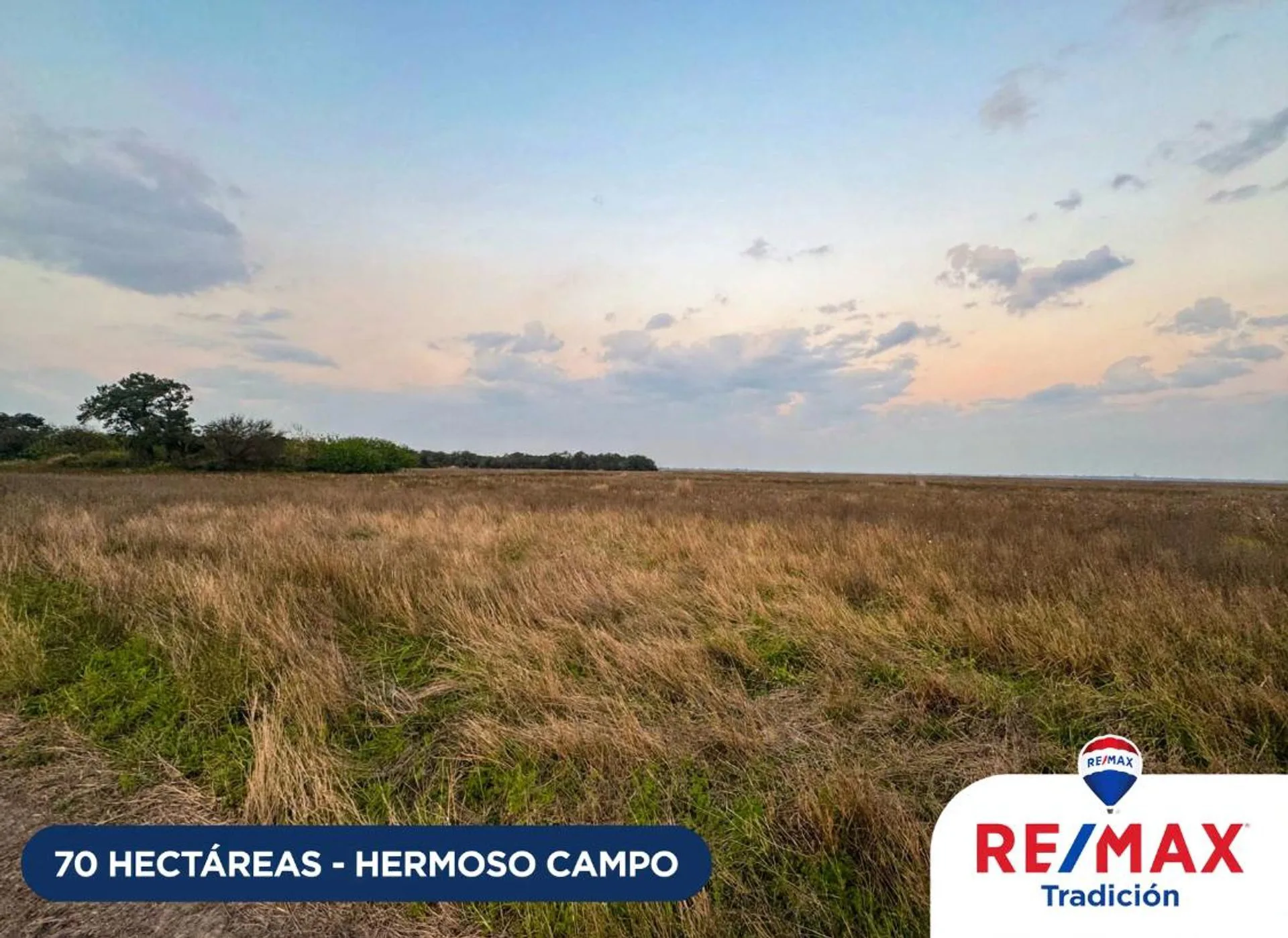 Campo venta 70 hectáreas en Hermoso Campo Chaco foto 3