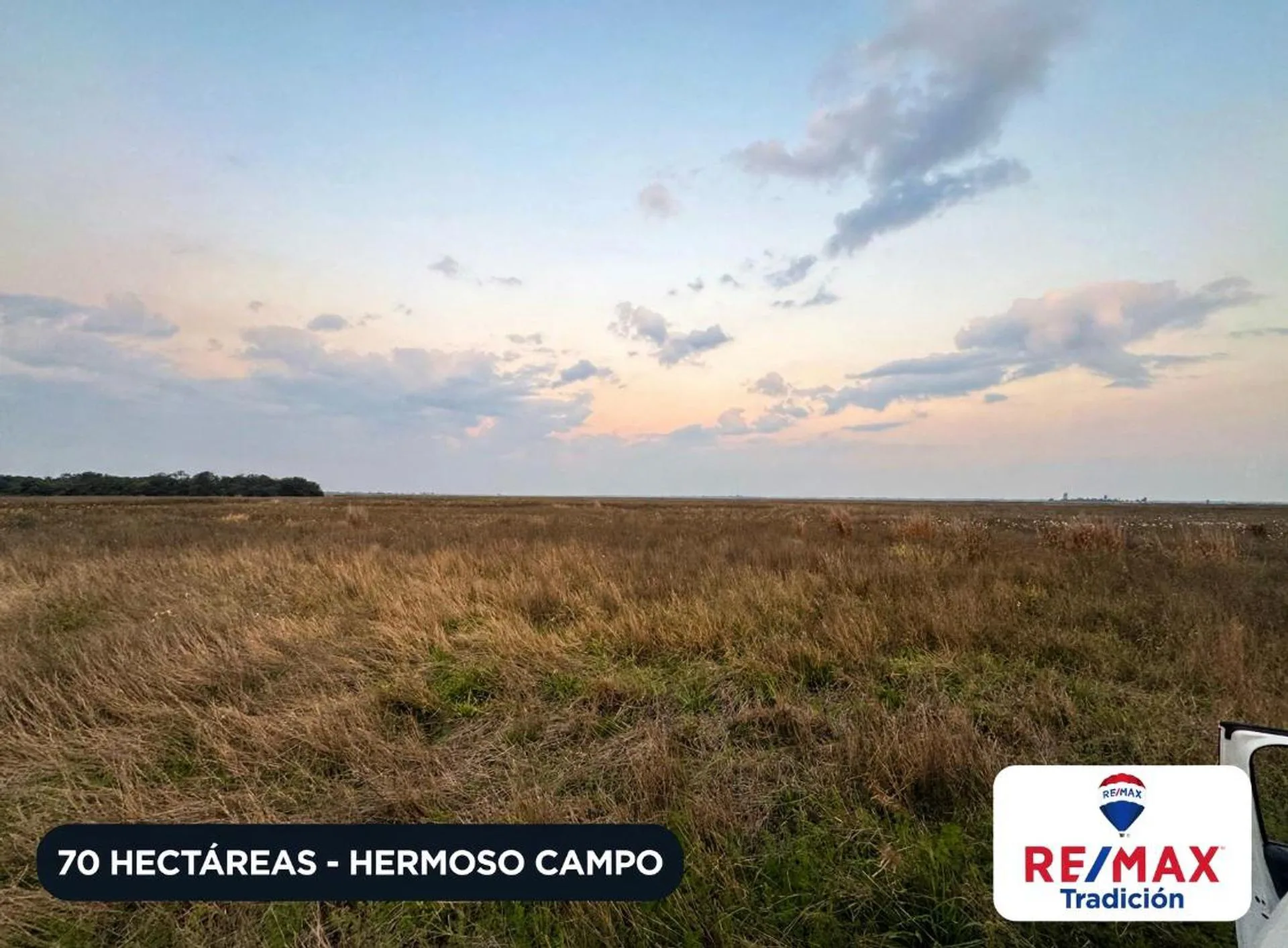 Campo venta 70 hectáreas en Hermoso Campo Chaco foto 5