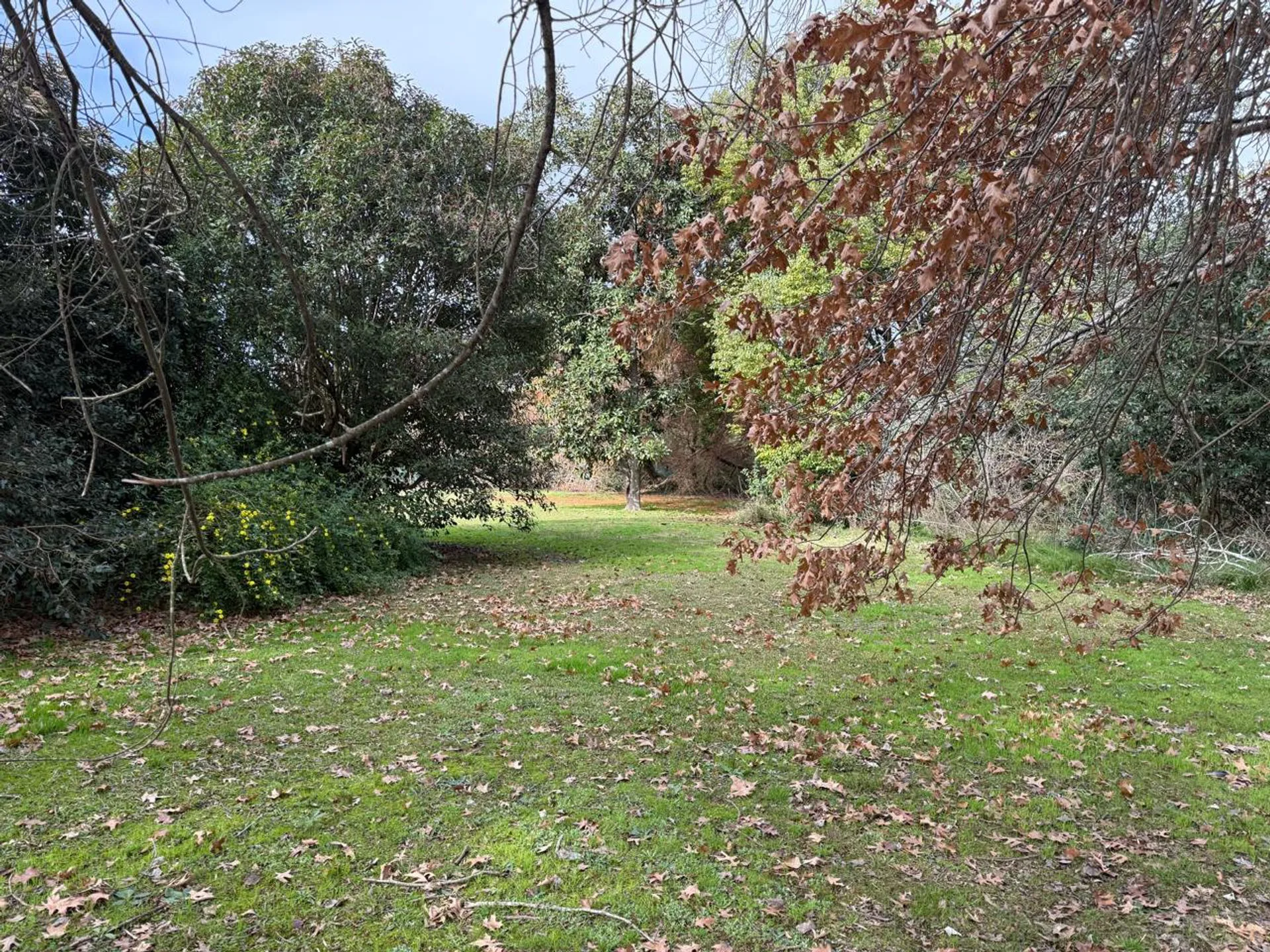 VENTA-LOTE en Country Cuba Fátima 1 foto 4