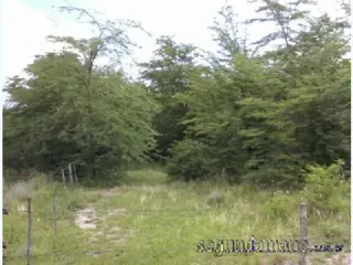 Terreno en Venta en Villa la Bolsa, Santa María, Córdoba foto 4