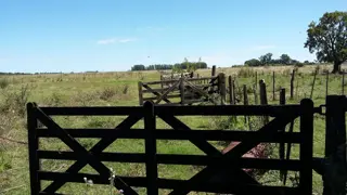 CAMPO en Venta 32 hectáreas en Punta Indio foto 1