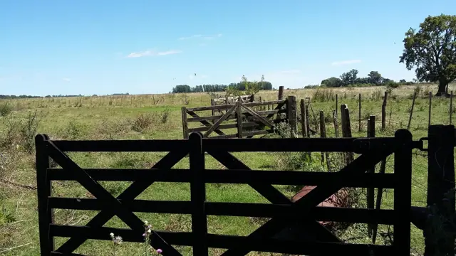 CAMPO en Venta 32 hectáreas en Punta Indio