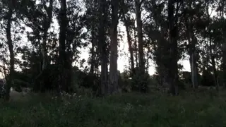 LOTE DE TERRENO en Venta En Verónica foto 1