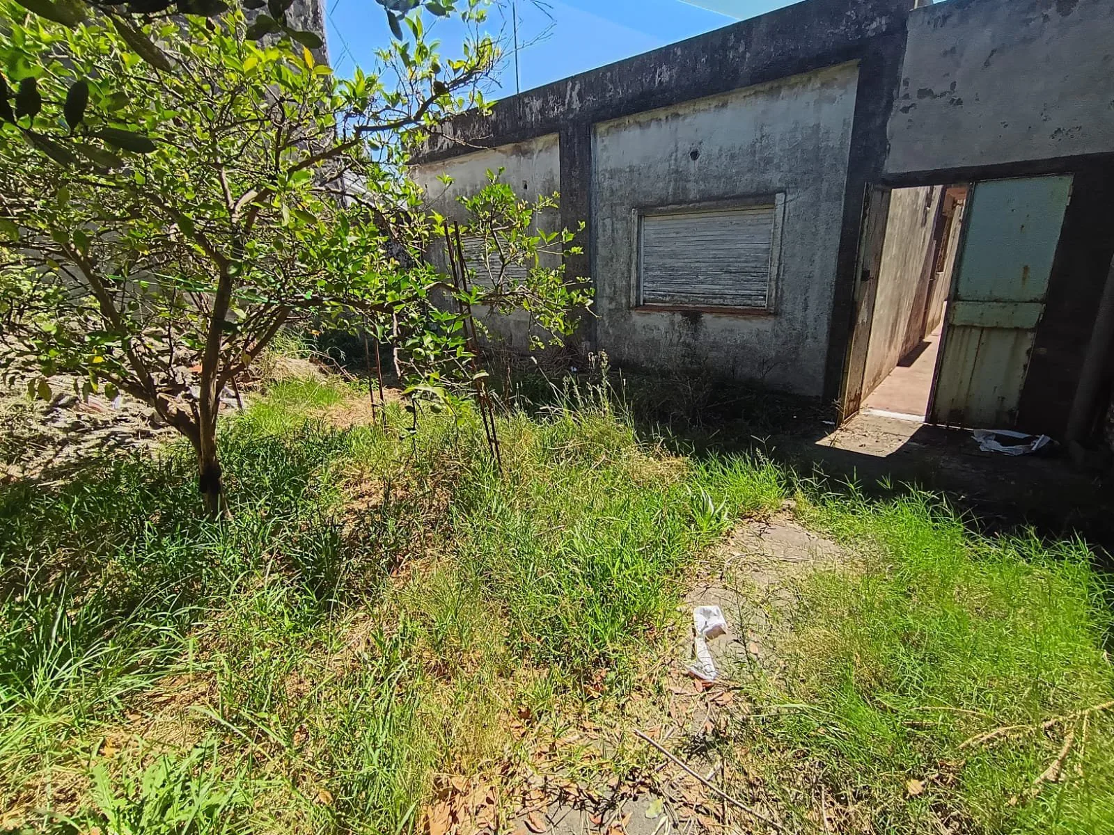 TERRENO EN LOTE PROPIO 8,66x43, Corrales 6800 - Villa Lugano foto 3