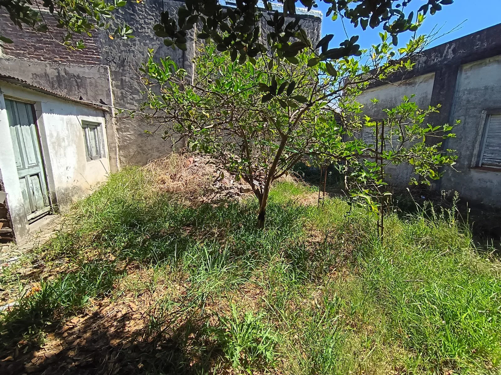 TERRENO EN LOTE PROPIO 8,66x43, Corrales 6800 - Villa Lugano foto 4