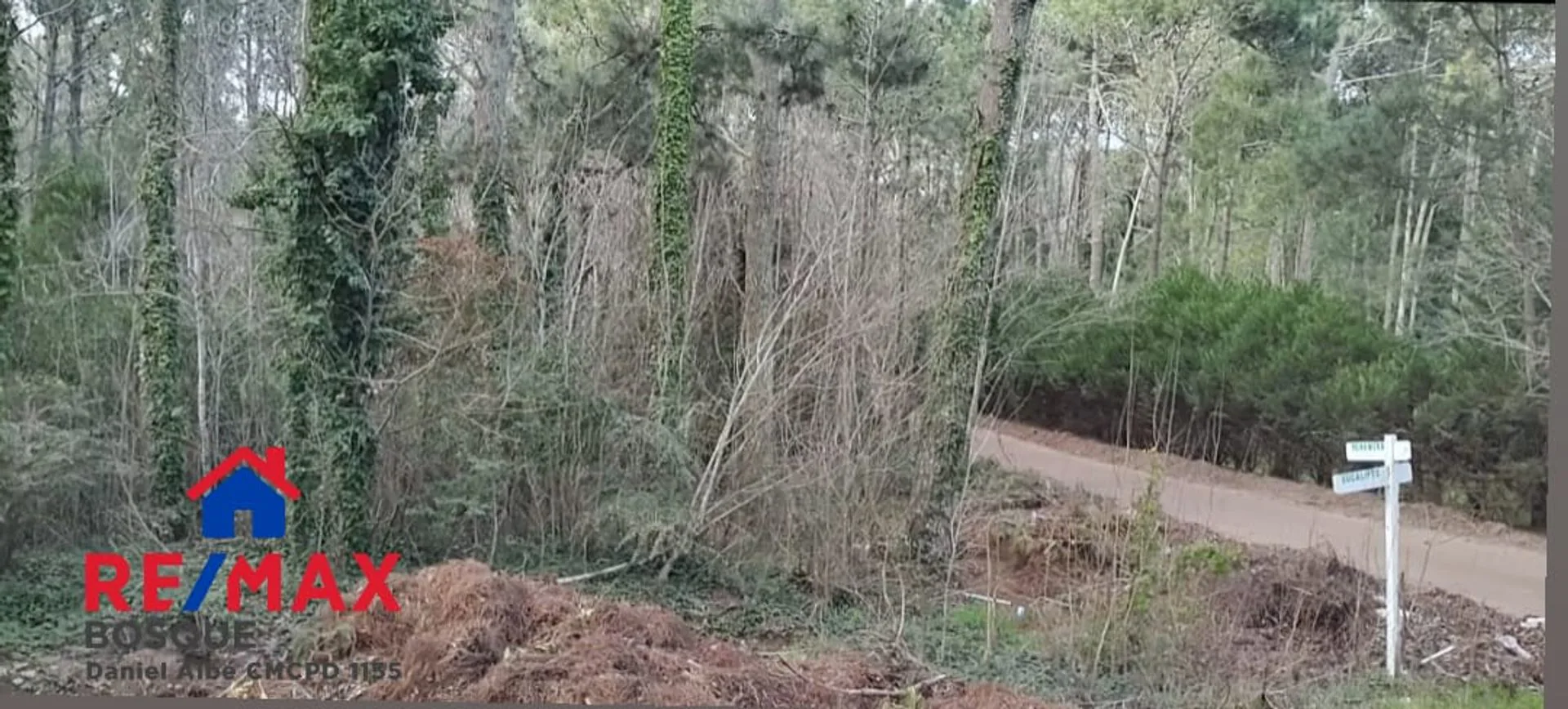 Excelente terreno en venta sobre esquina foto 2