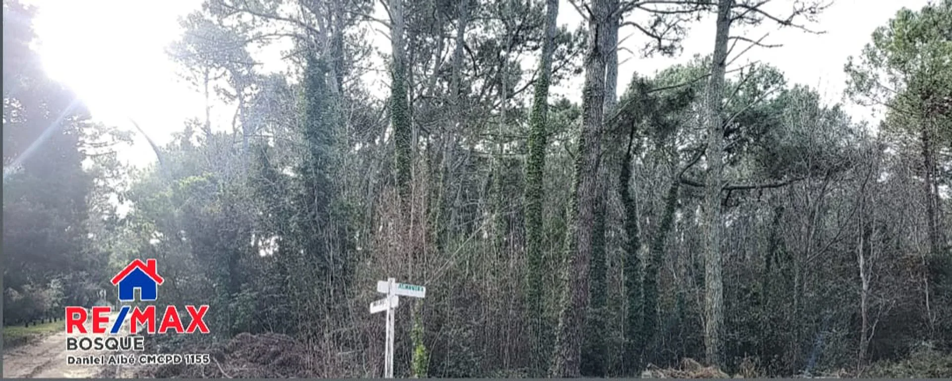 Excelente terreno en venta sobre esquina foto 3