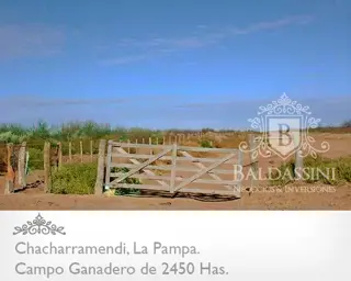 CAMPO GANADERO / COTO DE CAZA DE 2450 HECTÁREAS, CHACHARRAMENDI, LA PAMPA, REPÚBLICA ARGENTINA. foto 2