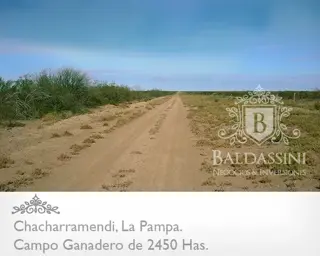 CAMPO GANADERO / COTO DE CAZA DE 2450 HECTÁREAS, CHACHARRAMENDI, LA PAMPA, REPÚBLICA ARGENTINA. foto 3