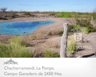 CAMPO GANADERO / COTO DE CAZA DE 2450 HECTÁREAS, CHACHARRAMENDI, LA PAMPA, REPÚBLICA ARGENTINA. foto 4