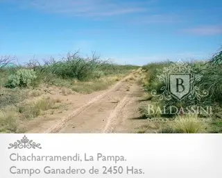 CAMPO GANADERO / COTO DE CAZA DE 2450 HECTÁREAS, CHACHARRAMENDI, LA PAMPA, REPÚBLICA ARGENTINA. foto 5