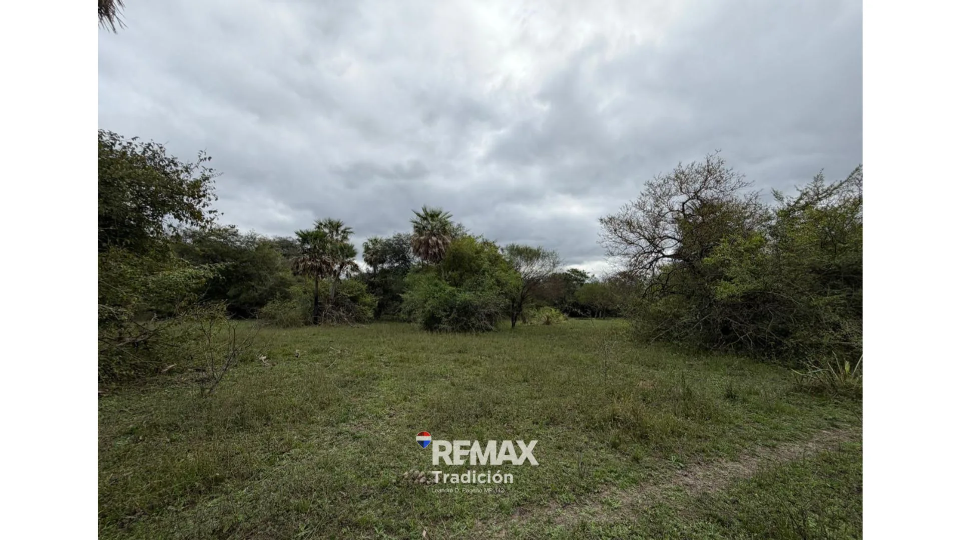 VENTA CAMPO SOBRE RUTA 11 foto 4