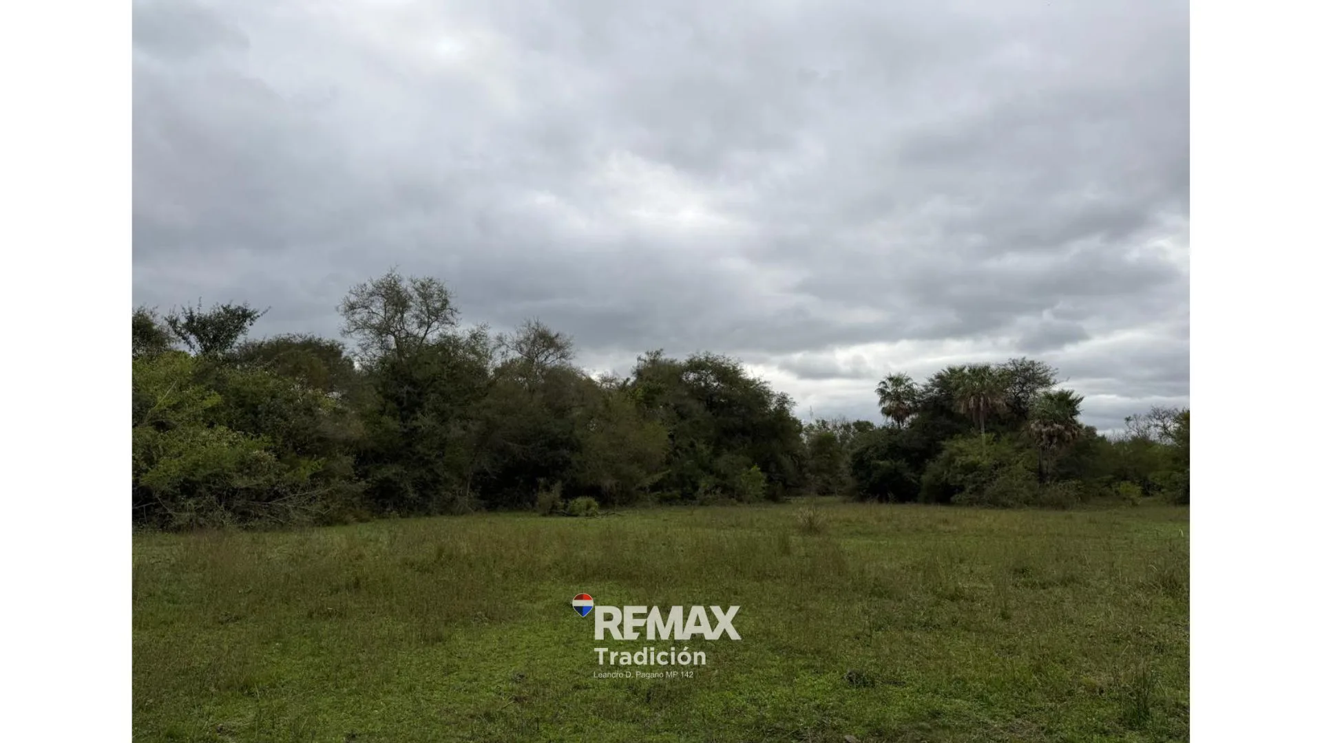 VENTA CAMPO SOBRE RUTA 11 foto 5