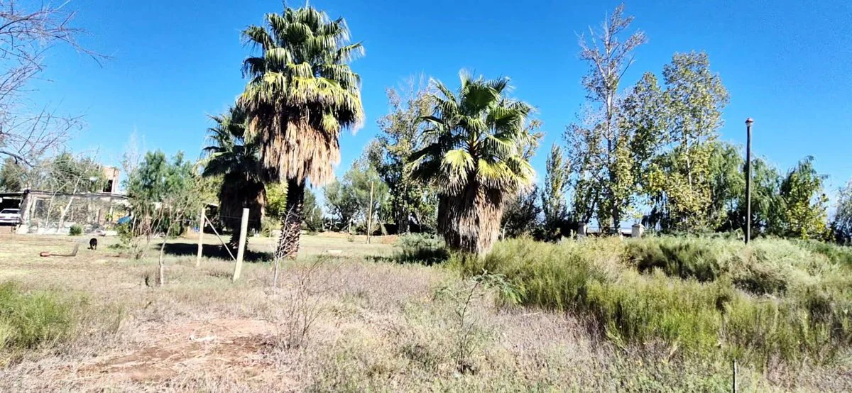 VENTA FINCA EN GUAYMALLEN 2,8 HECTAREAS foto 2