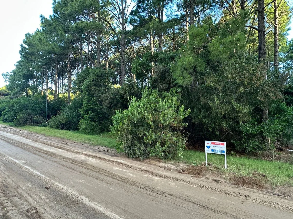 VENTA LOTE PINAMAR NORTE foto 2