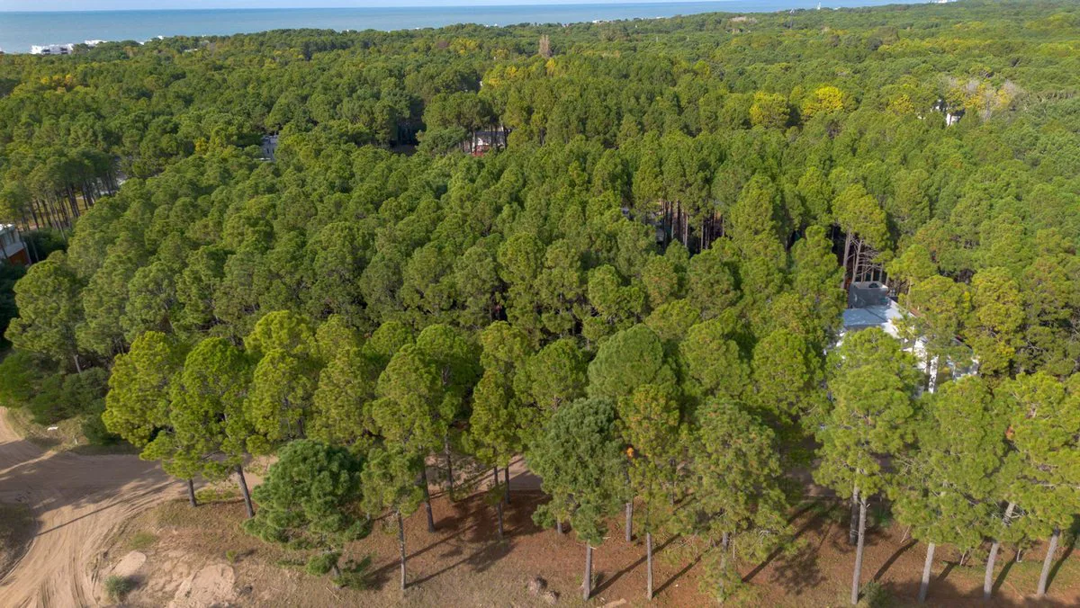 VENTA LOTE PINAMAR NORTE foto 4