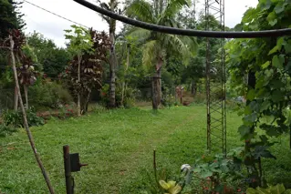 Vendo 1 ah foto 3
