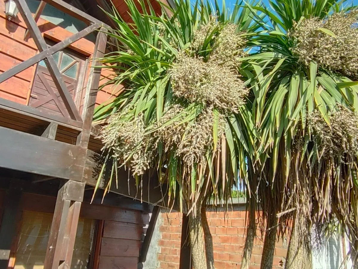 Venta Cabaña Santa Elena con Pileta foto 4