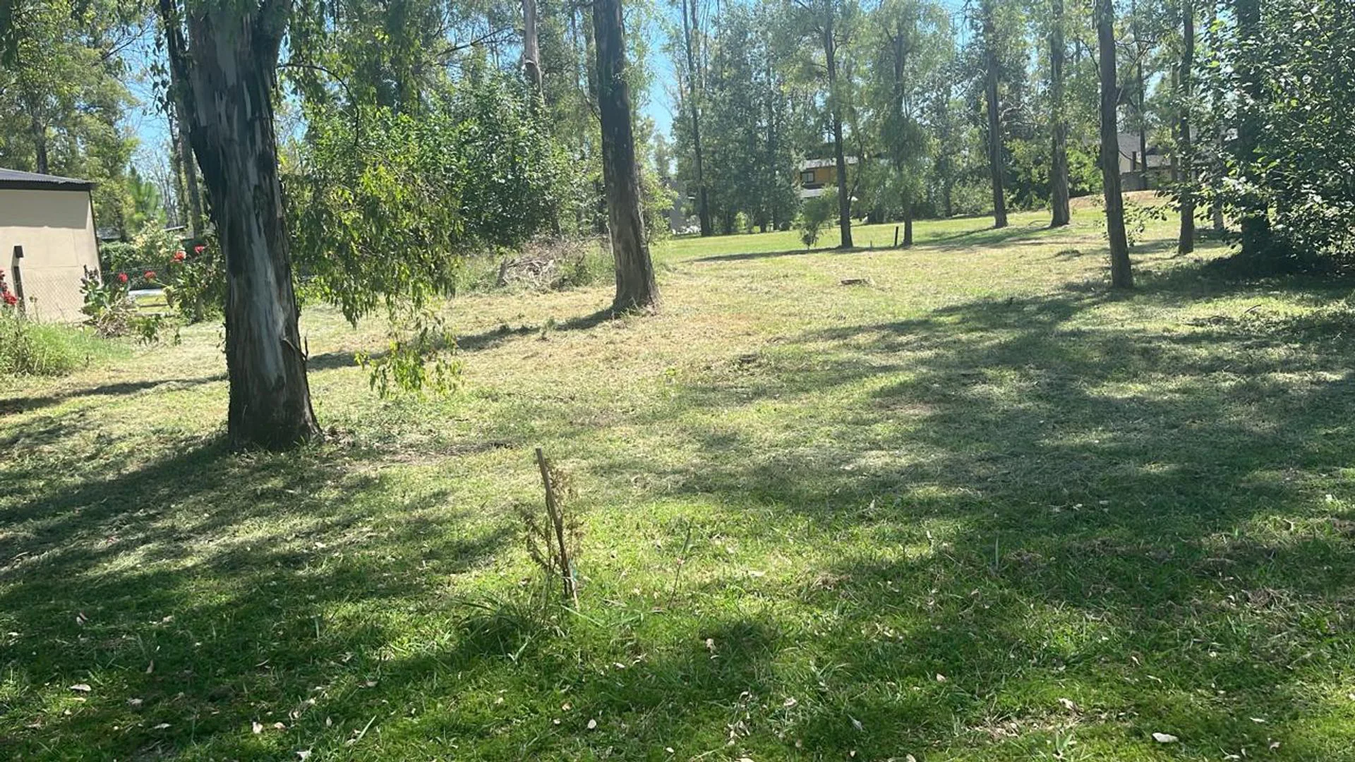 VENTA TERRENO 700 M2 - CAMPO TIMBÓ - FINANCIACIÓN foto 3
