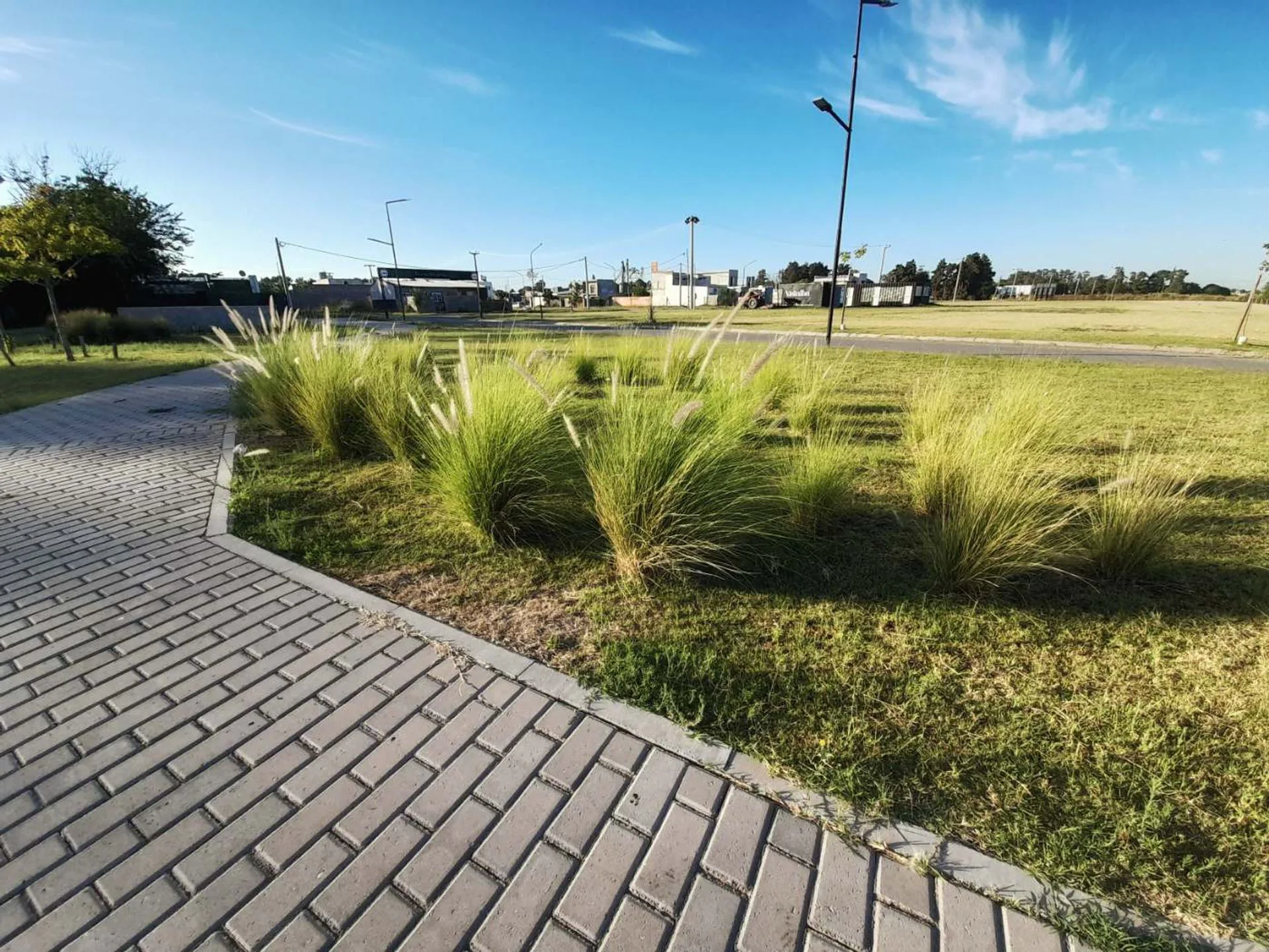 Venta lote 295 mt2 en el corazón de Ricardone foto 3