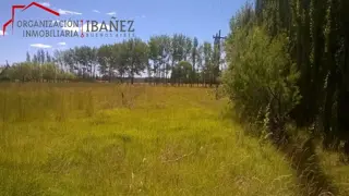 Chacra con 12 Has. Trelew (Chubut). foto 2