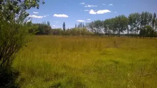 Chacra con 12 Has. Trelew (Chubut). foto 3