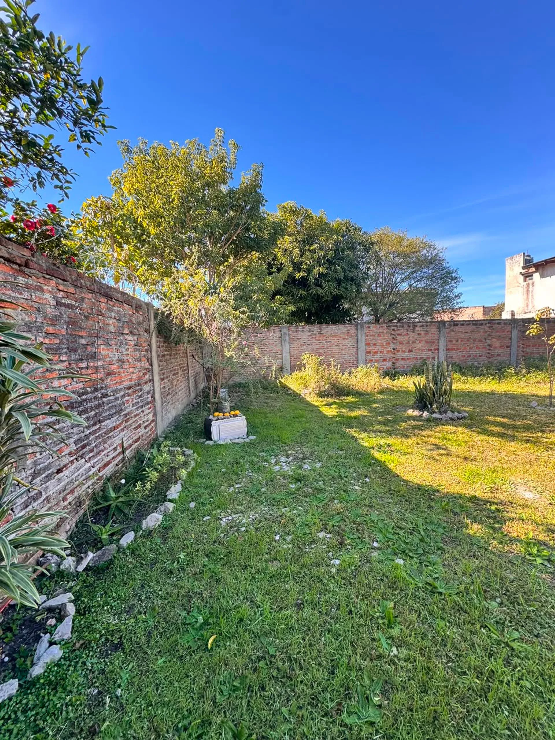 TERRENO EN VENTA EN EL CENTRO DE GOYA foto 3