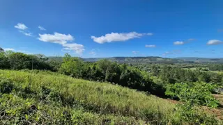 CAMPO DE 8 HECTÁREAS EN PANAMBÍ MISIONES A METROS DE LA RUTA 2 foto 3