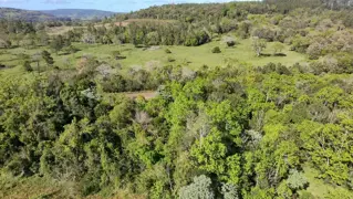 CAMPO DE 8 HECTÁREAS EN PANAMBÍ MISIONES A METROS DE LA RUTA 2 foto 5