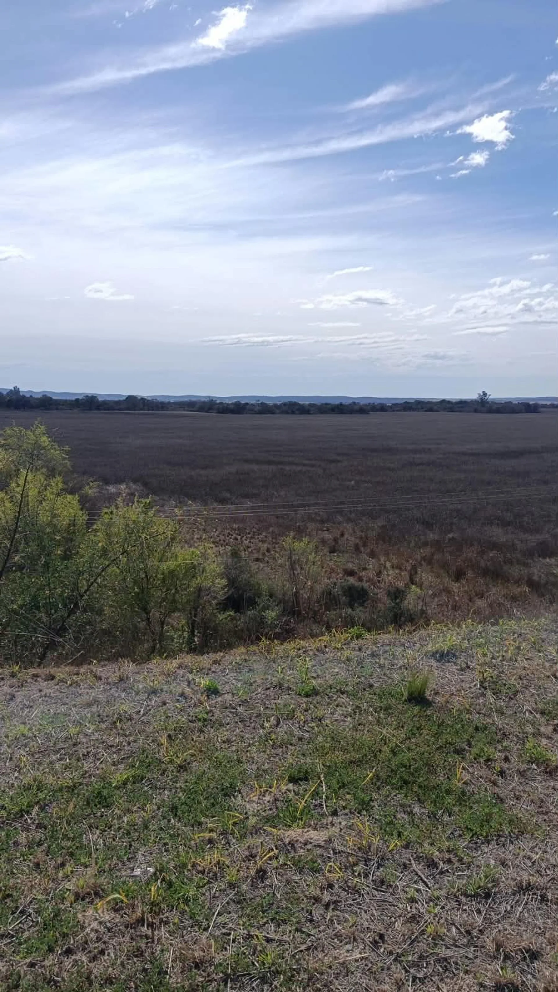 MACROLOTE 10,5 HA | RUTA C-45 | U$S 90.000 POR HA foto 3