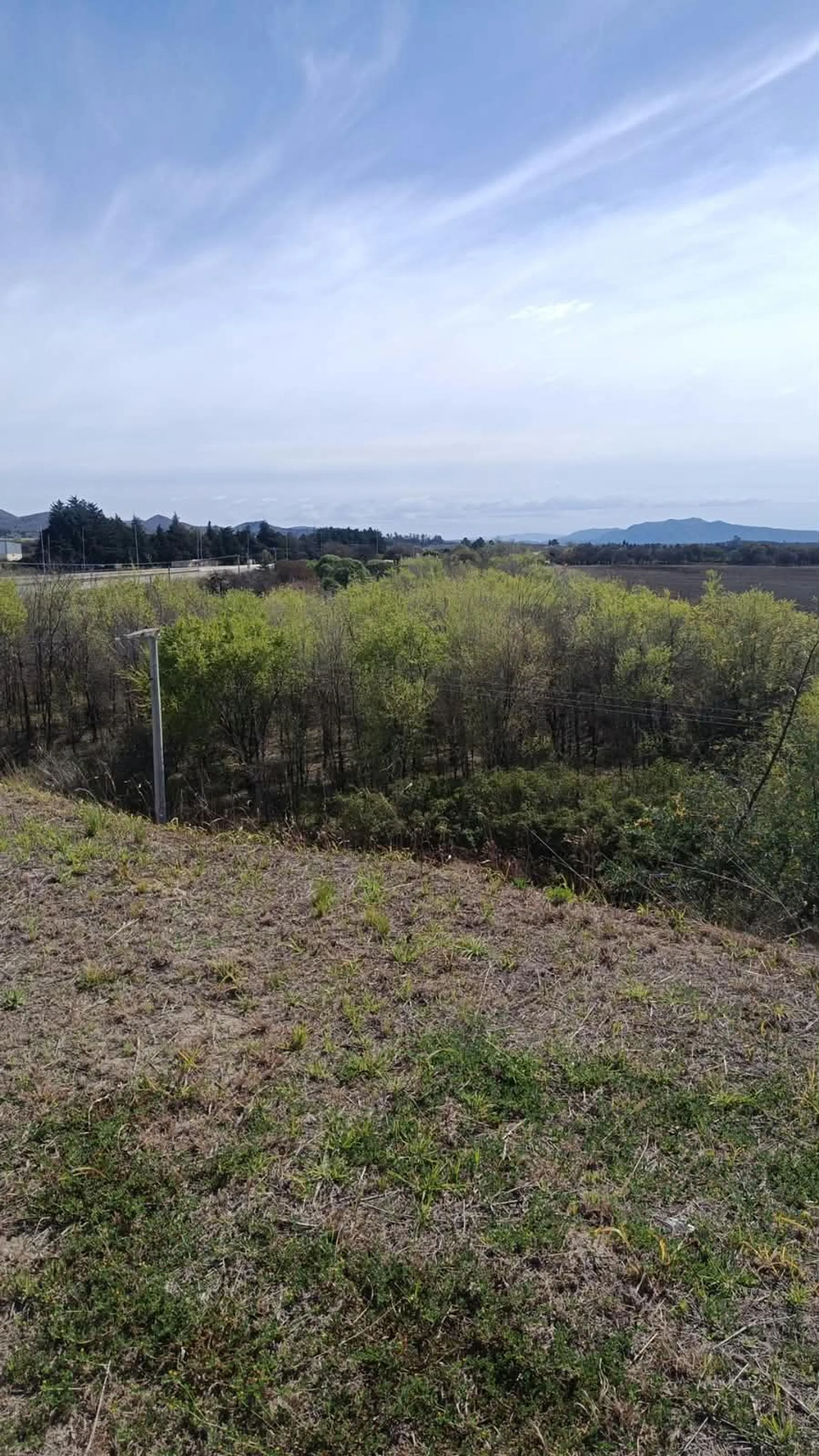 MACROLOTE 10,5 HA | RUTA C-45 | U$S 90.000 POR HA foto 4