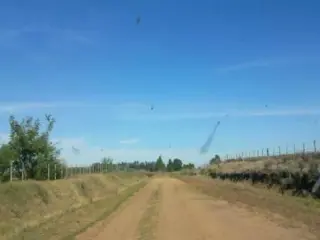 Campo 630 Has en 25 de Mayo foto 1