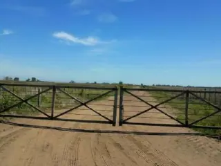 Campo 630 Has en 25 de Mayo foto 2