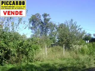 Terrenos Venta de lotes General Rodriguez Escasany Centro Piccardo foto 2