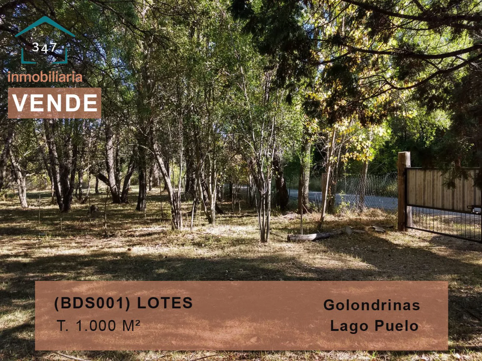 LAS GOLONDRINAS (Lago Puelo) LOTES 1.000 mts2 C/ construccion