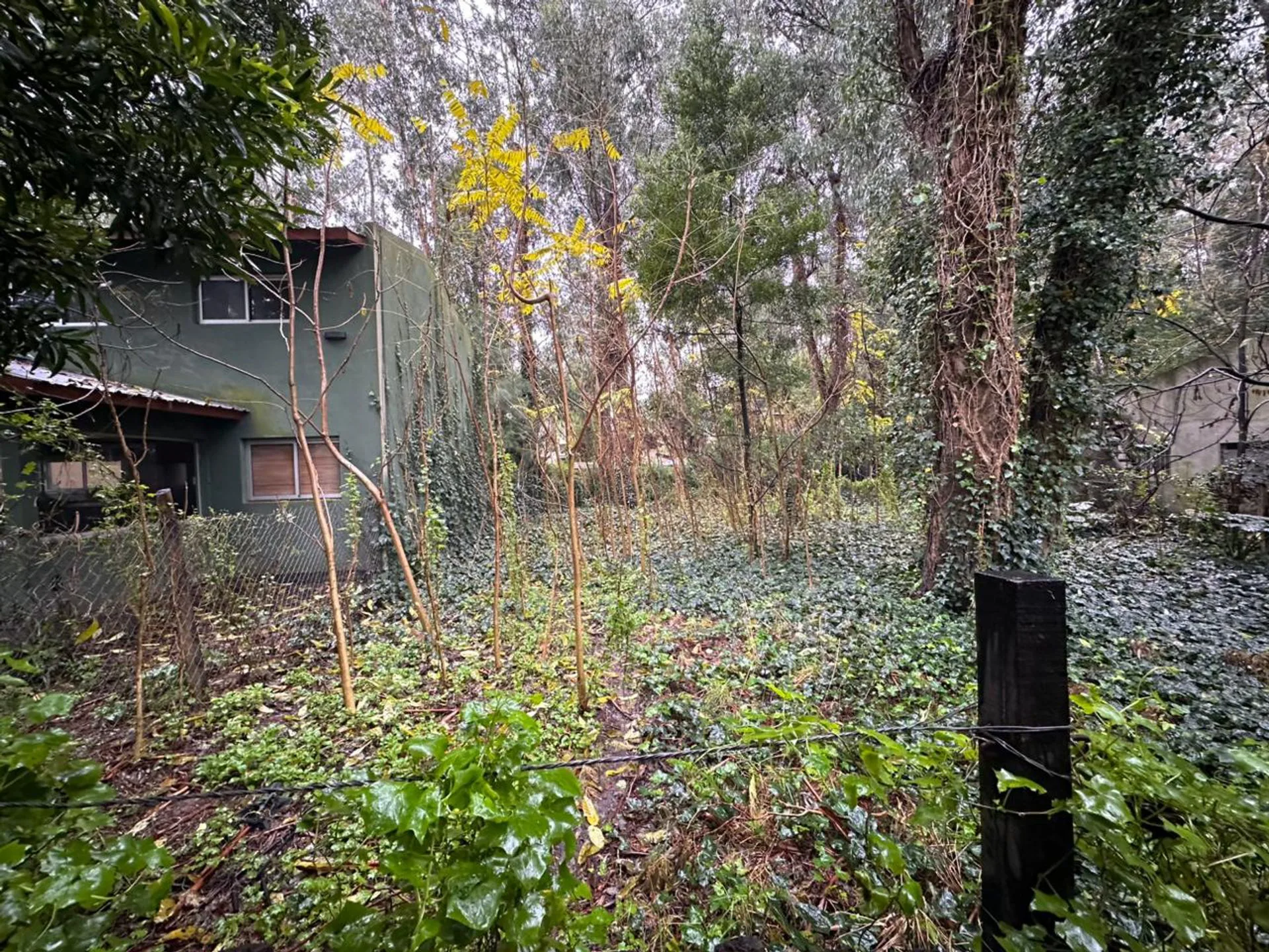 VENTA LOTE 450 M2 BOSQUE PERALTA RAMOS foto 3
