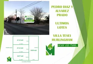AV. PEDRO DIAZ Y ALVAREZ PRADO foto 5
