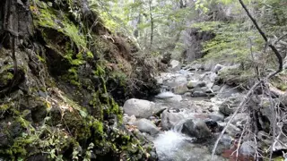 Excelente Finca de 27Has con agua, luz trifásica y sobre asfalto. Cabaña, arroyo y manantial foto 5