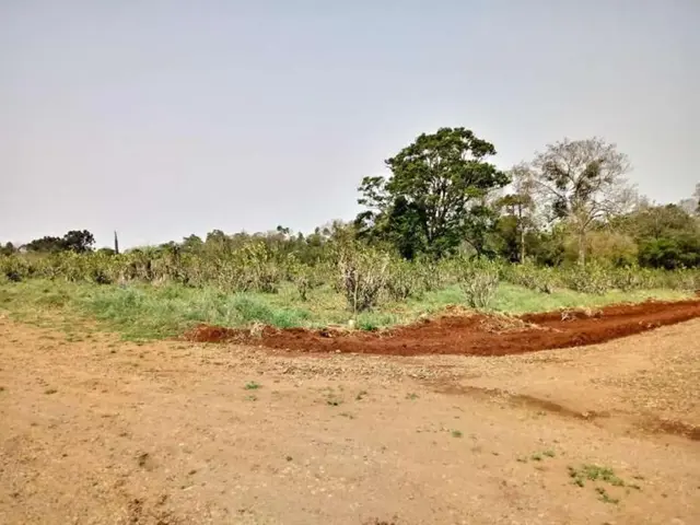 Lote 09: naturaleza, amplitud y una vista privilegiada de Guaraní