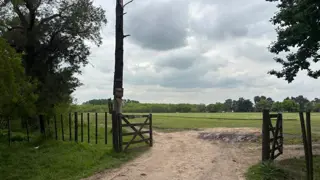 Trebol . foto 1