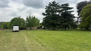 Trebol . foto 3